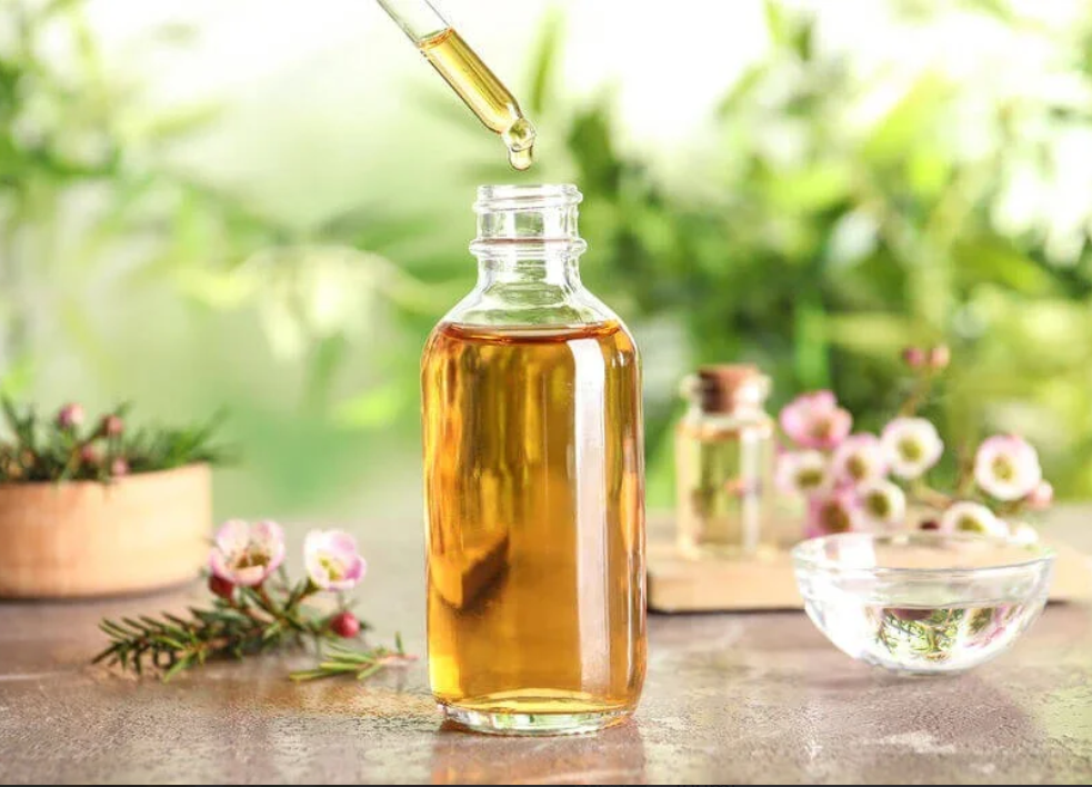 Green Tea Oil